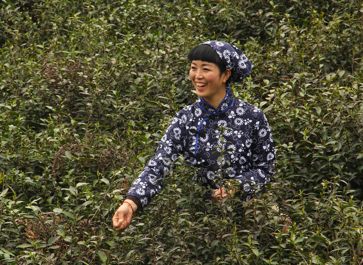 资讯6